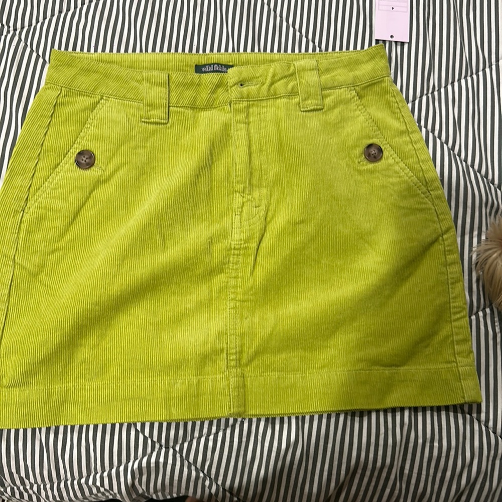New Skirt